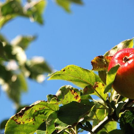 Cradog Farmhouse B&B Urlingford 외부 사진