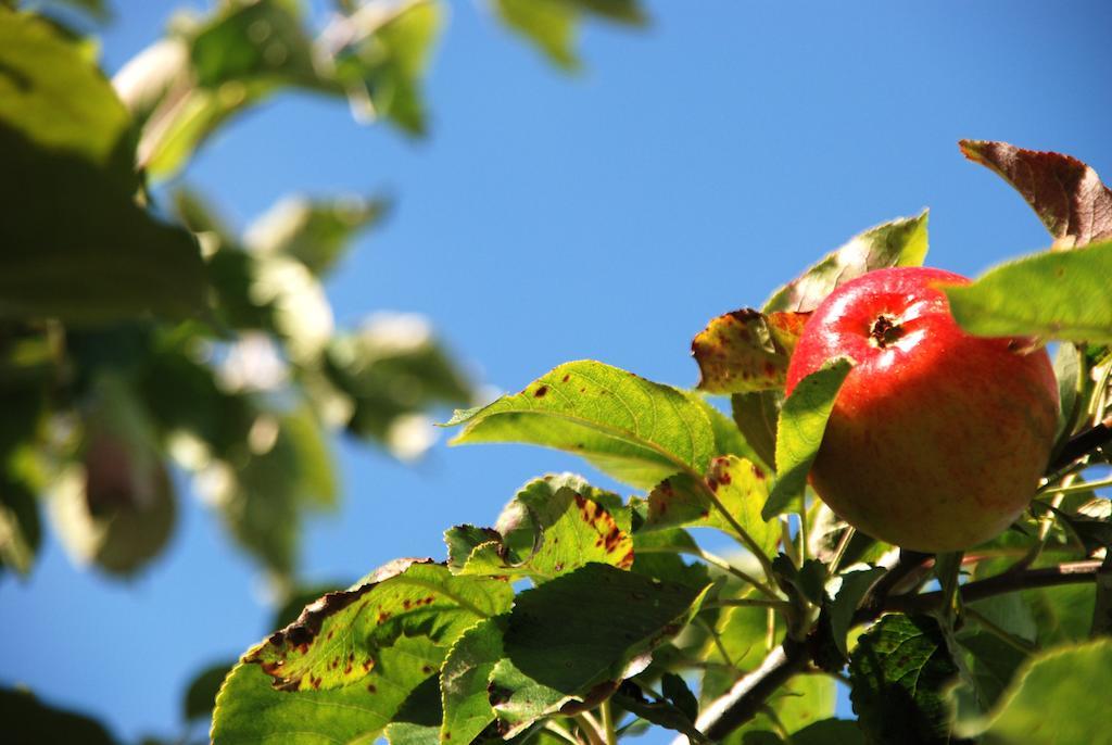 Cradog Farmhouse B&B Urlingford 외부 사진