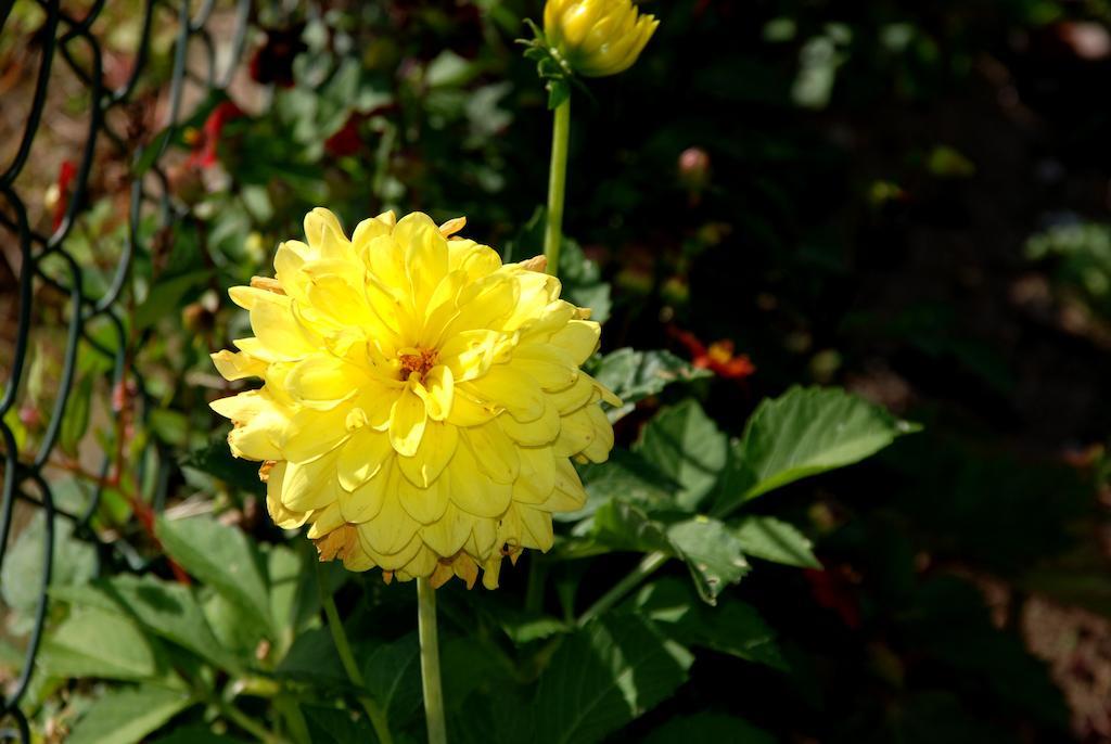Cradog Farmhouse B&B Urlingford 외부 사진